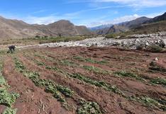 Huayco sepulta terrenos agrícolas en distrito de Caylloma
