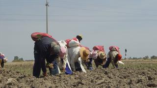 Congresistas de Junín presentan moción para declarar en emergencia el agro