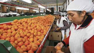 Molinelli: Empresas agrarias deben a EsSalud más de S/ 200 millones