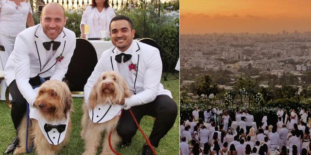 'Gringo' y 'Braulio' son los dos perros que la pareja adoptó hace algún tiempo. (Foto: Yirko Sivirich)