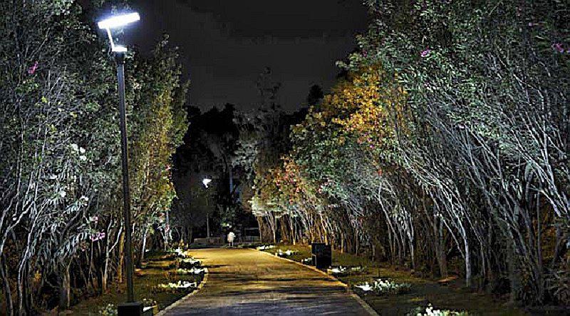 ​Loma amarilla: El misterio que dejó un enfrentamiento de tropas en un parque de Surco