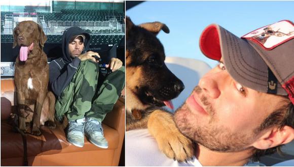 Enrique Iglesias y el vergonzoso momento que vivió por su perro (VIDEO)
