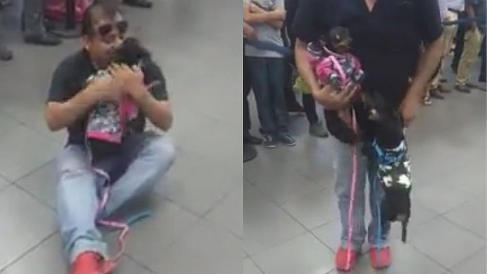 ​Peruano que vivía en Venezuela se reencuentra con sus mascotas tras 1 año (VIDEO) 
