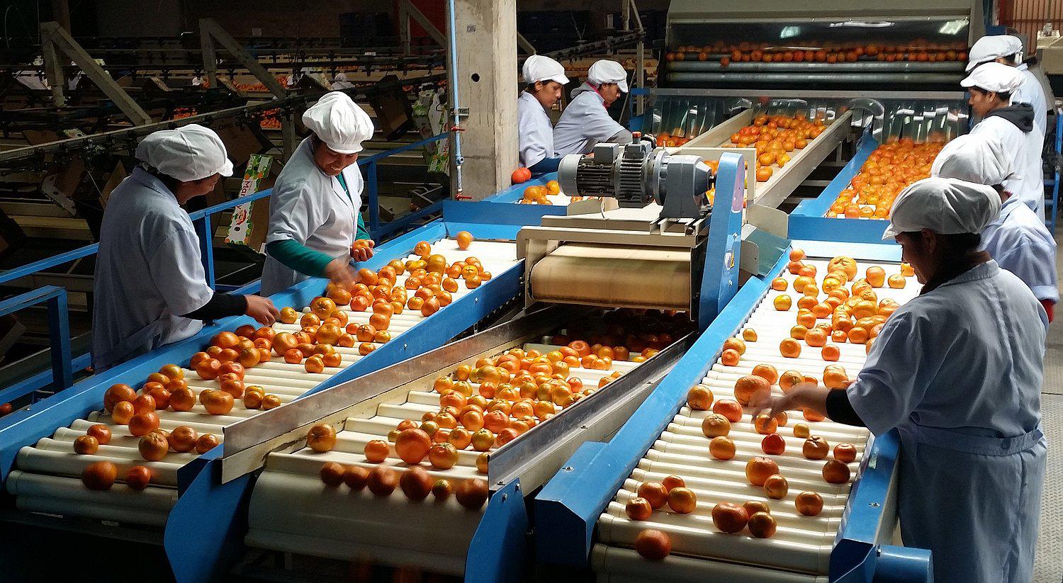 Piura: Ecuador suspende la importación de algunos productos peruanos