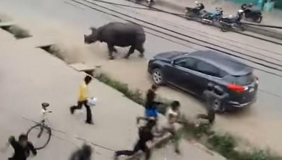 ​YouTube: motocilistas pasan tenso momento tras ser perseguidos por rinoceronte