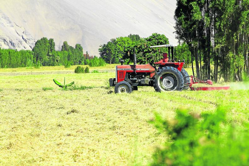 Islay: Por falta de maquinarias pierden 7 mil 200 toneladas de arroz