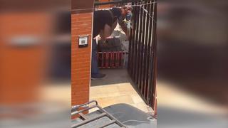 Pueblo Libre: multan a propietario de inmueble donde se criaban gallos clandestinamente 
