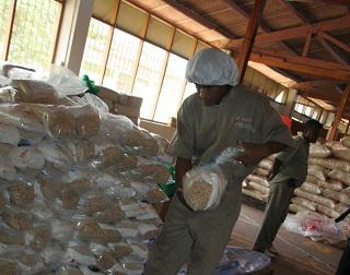 Gobierno decide desactivar el Pronaa