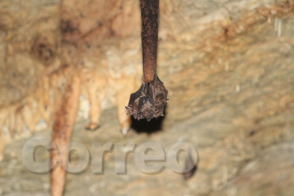 La caverna de Metraro, una aventura bajo tierra (FOTOS)