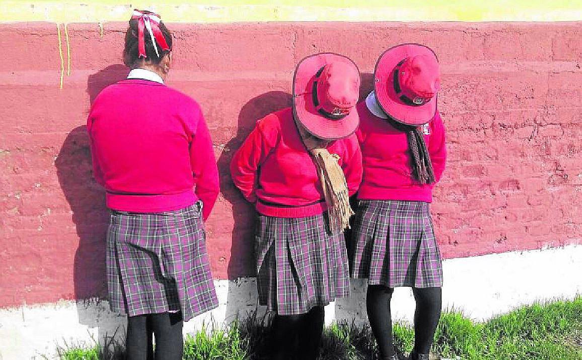 Puno: colegialas acusan a auxiliar de acosarlas sexualmente en Samán