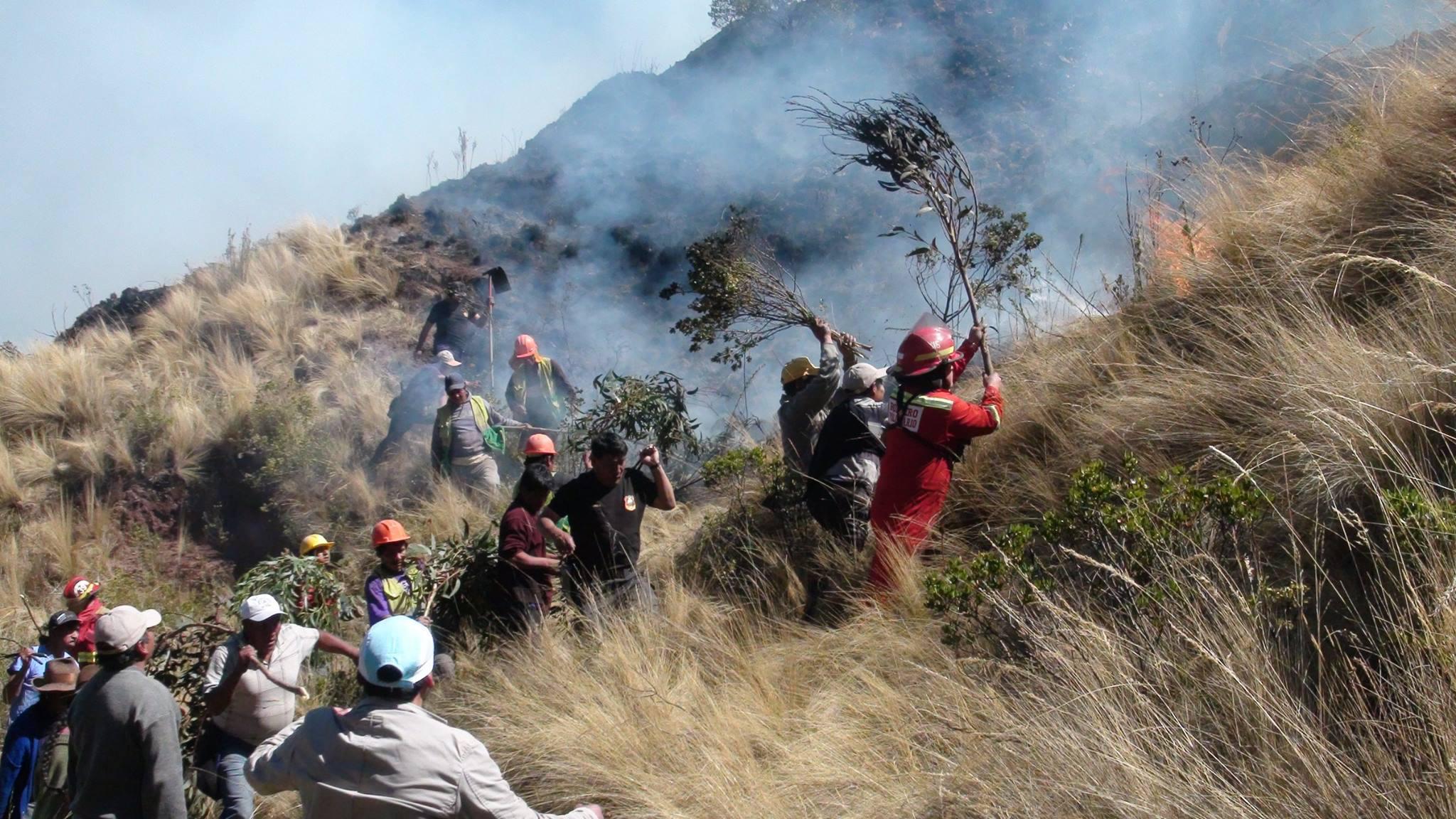 Apurímac: bomberos sofocan incendio forestal en mirador de Soccllaccasa