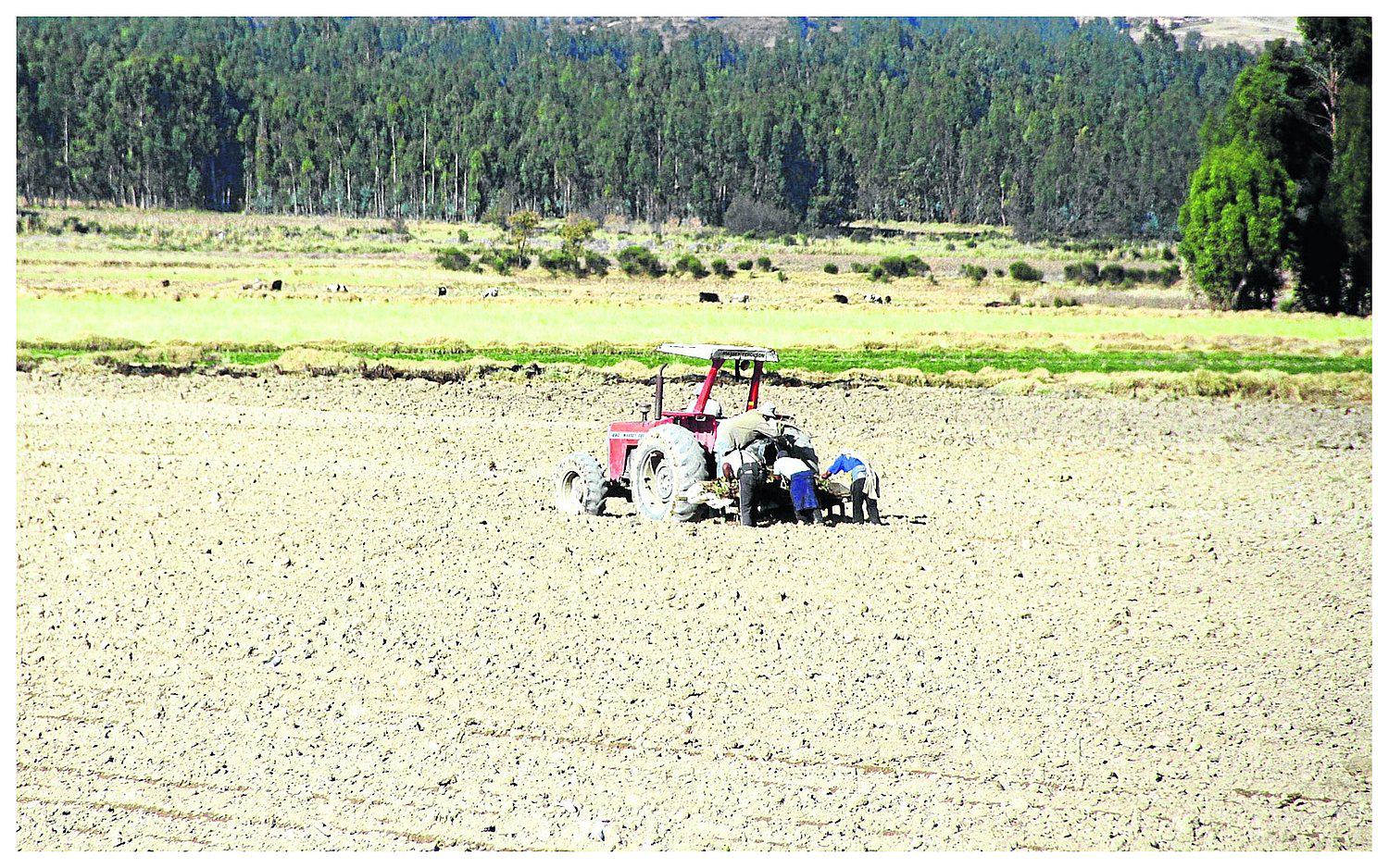 Estado de Emergencia para el agro ya se aprobó y Gobierno enviará más de S/3 millones