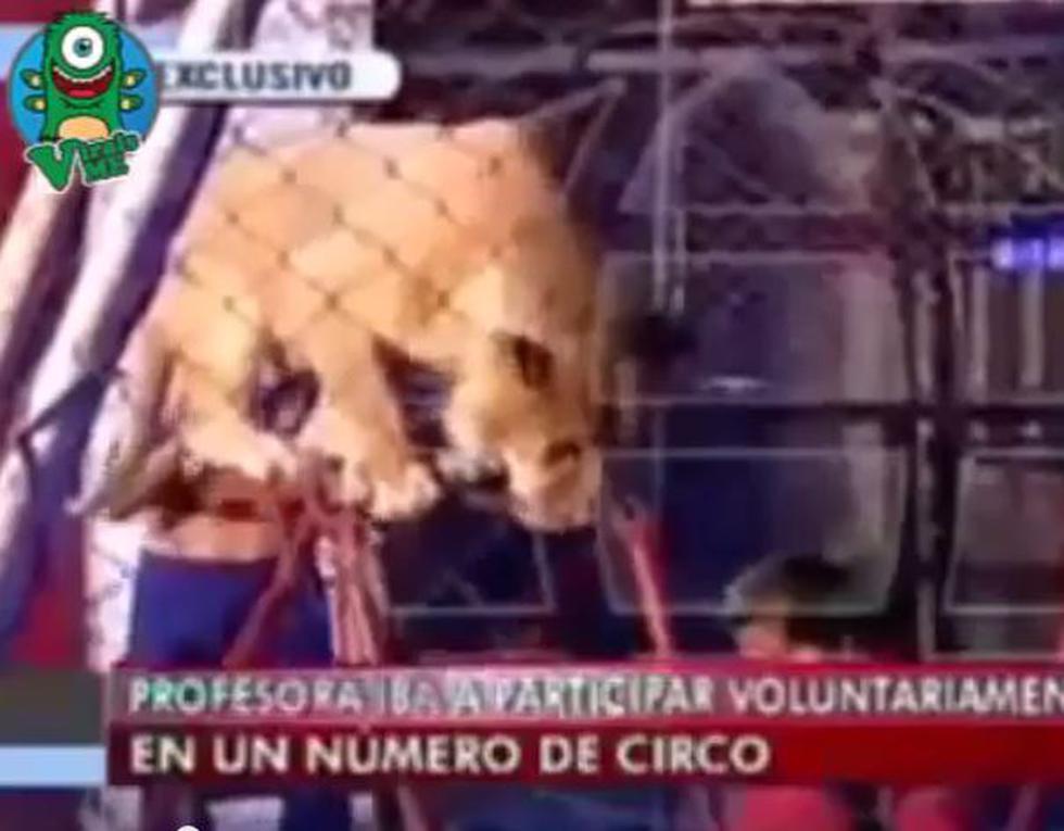 Cusco: Así fue el ataque de un león a una profesora (VIDEO)