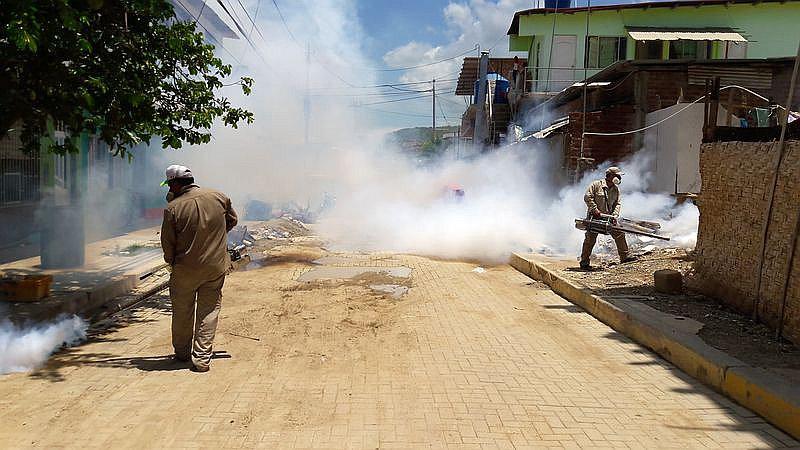 Tumbes: La Diresa realiza acciones para evitar el dengue, zica y la chikungunya