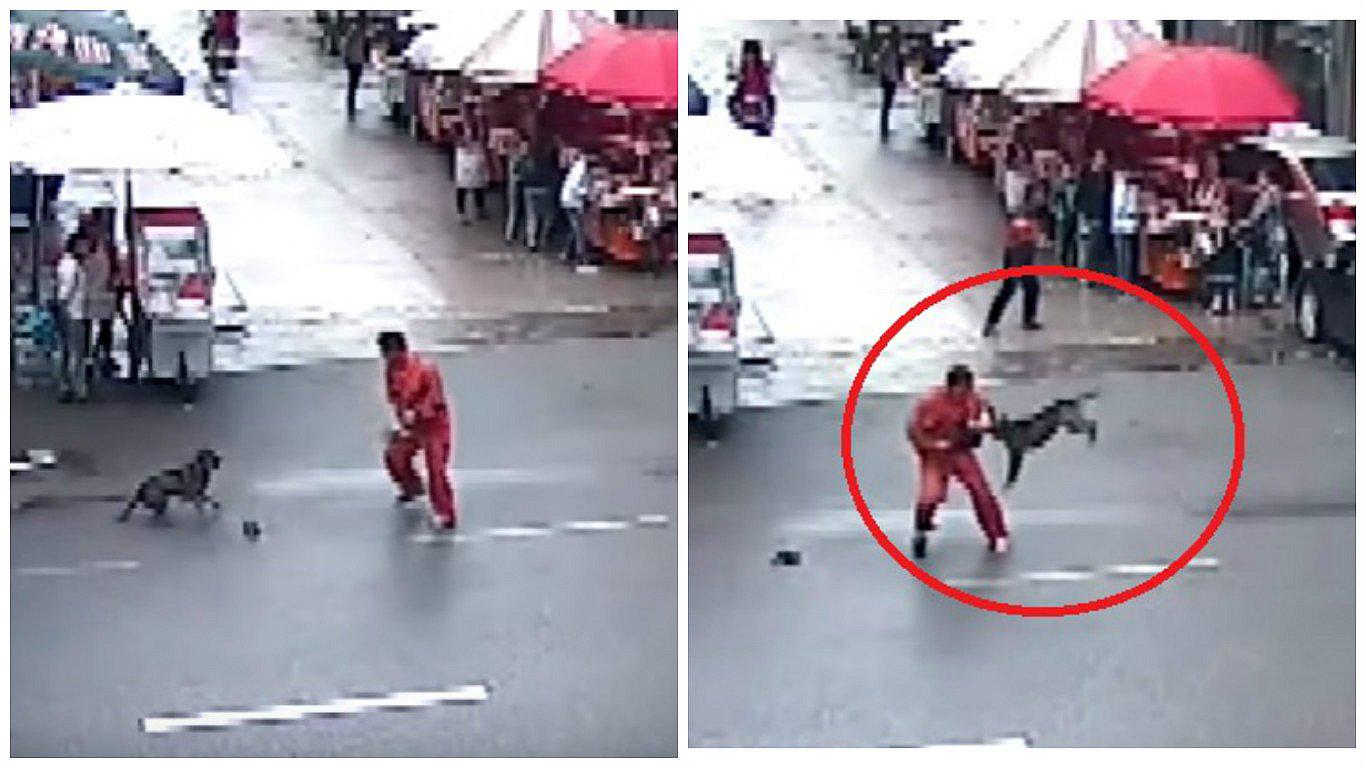 YouTube: Perro enojado ataca a más de 20 personas y causa pánico (VIDEO)