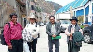 Piden declaratoria de emergencia de sector alpaquero de Huancavelica