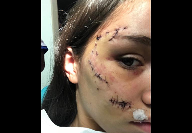 Perro (Foto: Facebook)