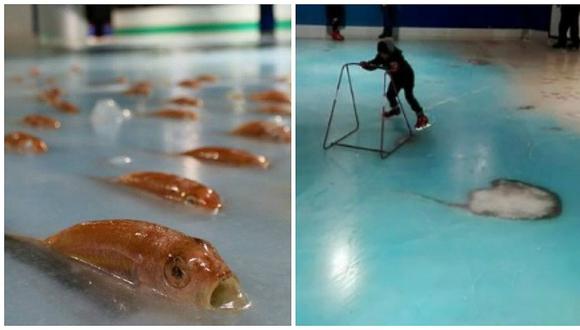 ¡Indignante! Parque temático congela 5 mil peces como parte de una pista de patinaje (VIDEO)