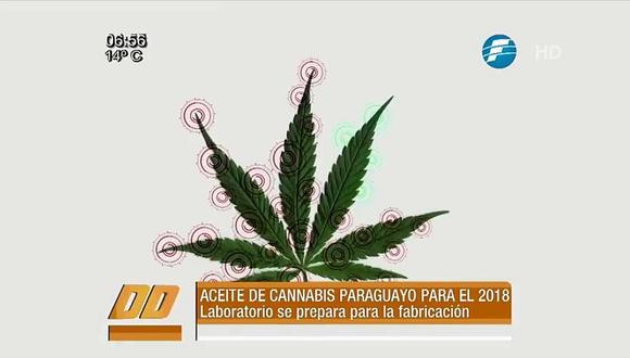 Paraguay ya vende aceite de marihuana para aliviar enfermedades [VIDEO]