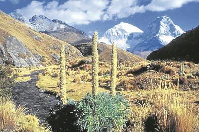 Áncash: Tres montañistas ecuatorianos se extraviaron en nevado Huascarán