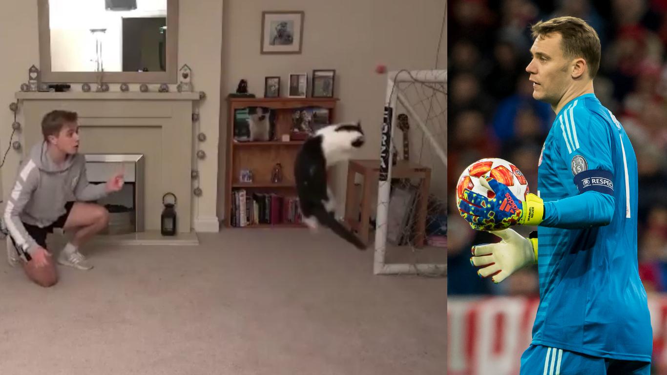 El gato, llamado ’Meownel Neuer’, en honor del portero alemán Manuel Neuer. (Captura video Twitter Chris Dixon /AFP)