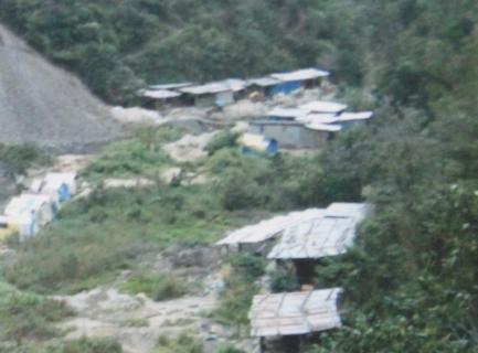 Sembrarán 10 mil árboles en pampas de San Bartolo con aguas tratadas