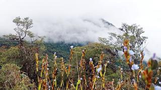 Aprueban el primer Área de Conservación Regional de Huancavelica