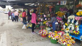 Tacna: Prohíben ingreso de flores con agua en el cementerio general ante arremetida del dengue