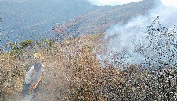 Piura: Piden que se declare la emergencia por los incendios forestales