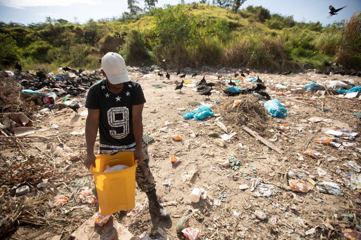 En este lugar prácticamente disputa restos de comida con buitres y perros. (EFE)