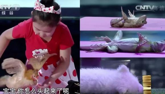 Increíble: Esta niña china es capaz de hipnotizar a cualquier animal (VIDEO)