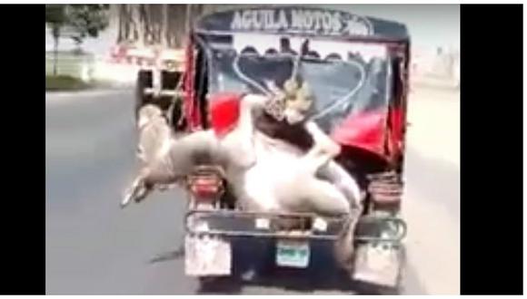 Chiclayo: Traslado de burro amarrado en mototaxi genera indignación (VIDEO)