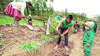 Agroexportaciones se incrementaron en 21.4%