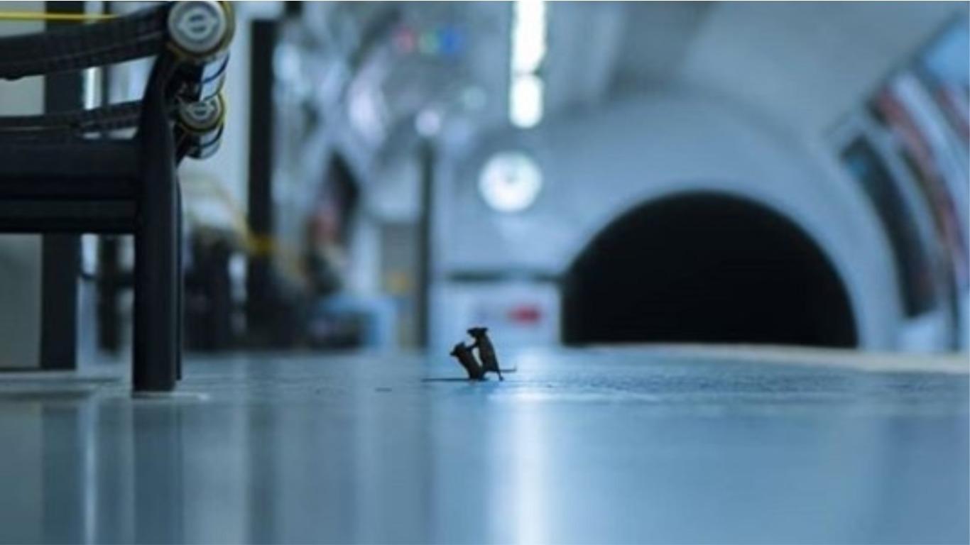 Foto: Sam Rowley - Instagram