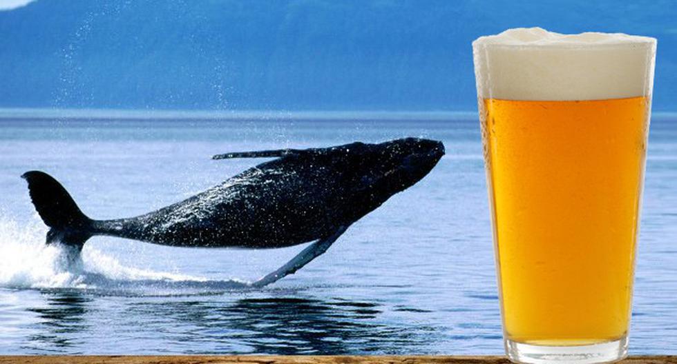 Islandia crea la cerveza de ballena "la bebida de los vikingos" | MISCELANEA | CORREO