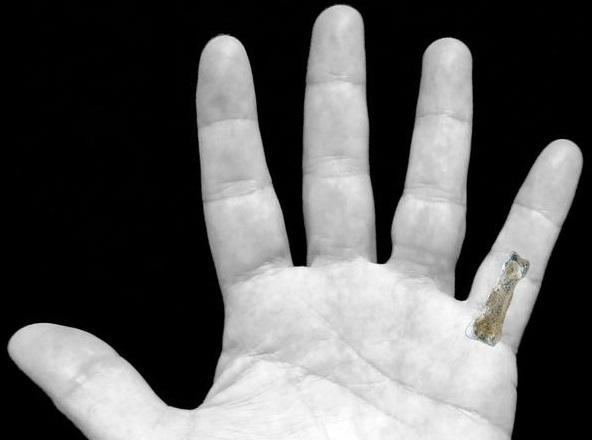 Hallan ​la 'mano moderna' más antigua, de más de 1,8 millones de años