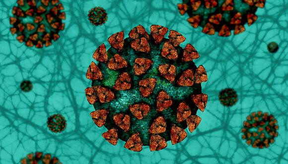 Para entrar en una célula, el virus SARS-CoV-2 se acopla a una molécula presente en la superficie de la misma (su receptor). (Pixabay)