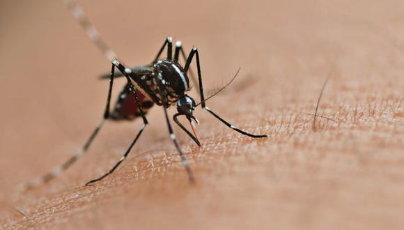 Chile dona U$ 60 mil a Honduras para combatir zika, dengue y chikunguña