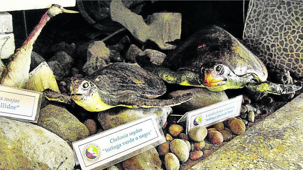 Conociendo la riqueza del mar (FOTOS) 