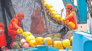 Chimbote: Cierran primera temporada de pesca de anchoveta