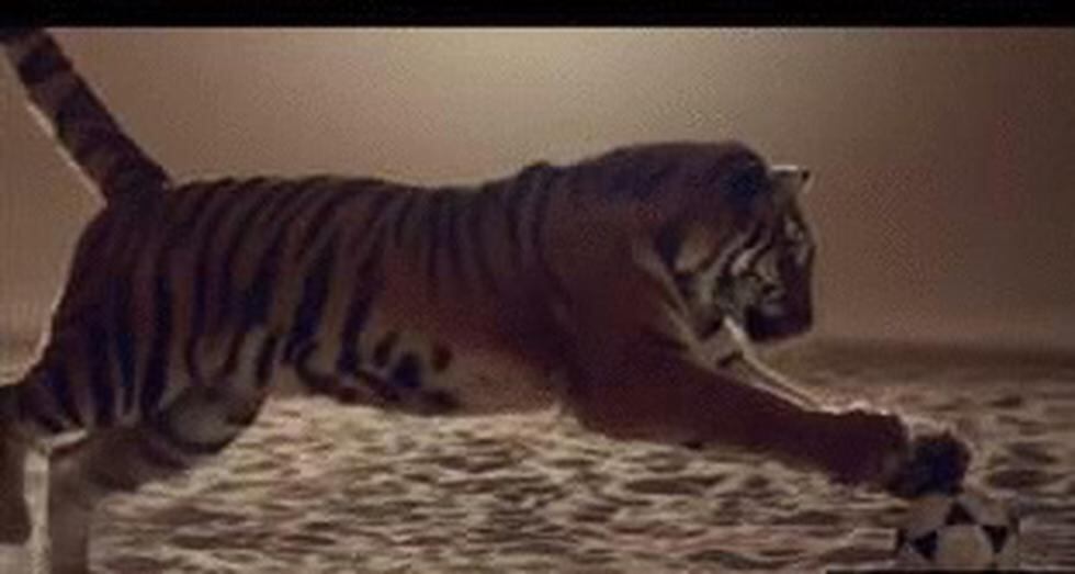 Acusan a Shakira de copiar videoclip