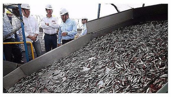 Pesca: Cuota de captura de anchoveta será de 2.1 millones para la segunda temporada