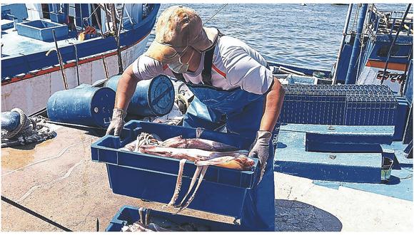 Piura: El sector pesquero pierde US$ 20 millones por confinamiento