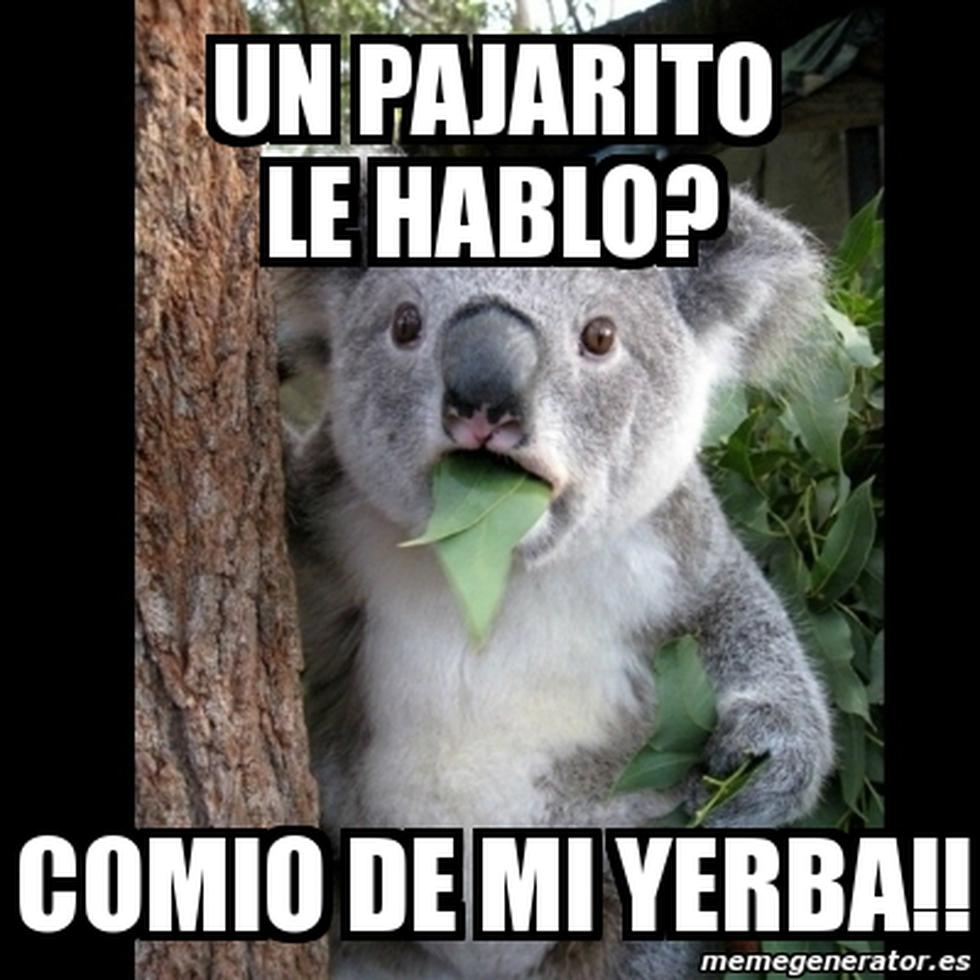 Memes sobre el pajarito que vio Maduro invaden las redes