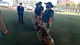 Brigada canina reforzará seguridad y control en penal de varones de Cusco