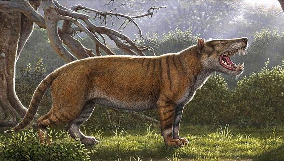 El "gran león africano": Identifican fósil de un nuevo mamífero gigante en Kenia
