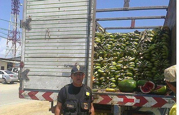 Más de 8 mil productores de plátano de Tumbes se perjudican con el ingreso de fruta de contrabando 