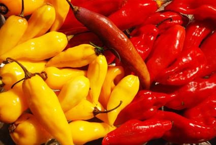 Trujillo: Revaloran producción del Ají Mochero