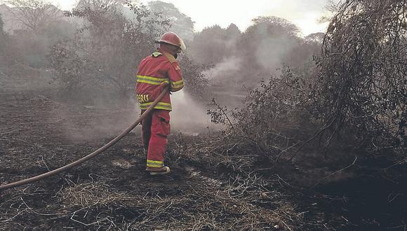 Dos incendios forestales se registraron en Olmos y Lambayeque 