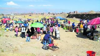 Vuelve a abrir la feria ganadera de Huancayo con 900 comerciantes que regresaron a Coto - Coto